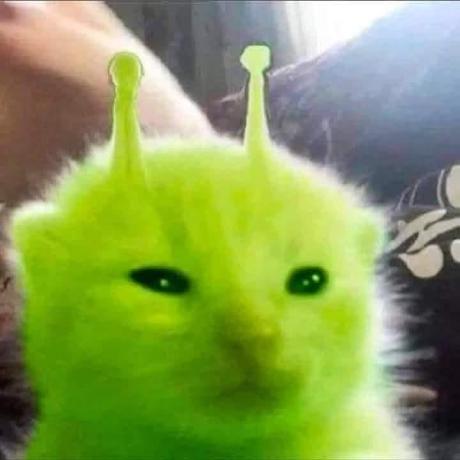 Foto de perfil do Astro